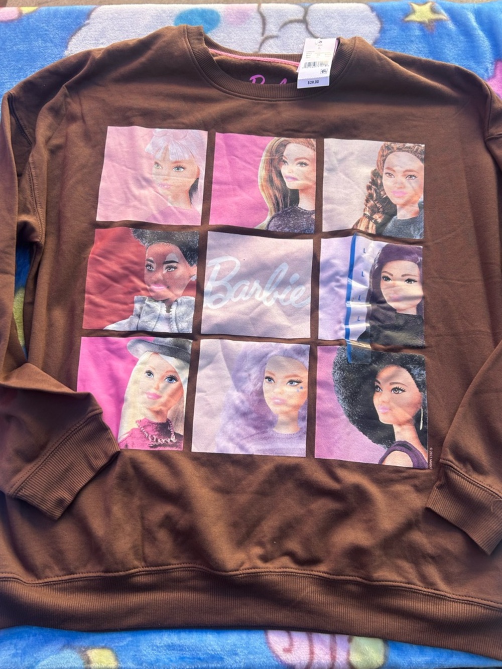 Barbie Brown Pullover Sweatshirt with Pink & Purple Graphic Panels